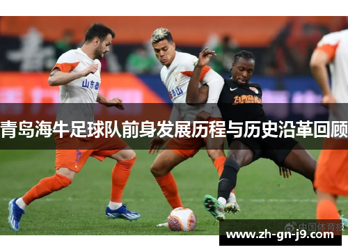 青岛海牛足球队前身发展历程与历史沿革回顾 青岛海牛足球队前身发展历程与历史沿革回顾